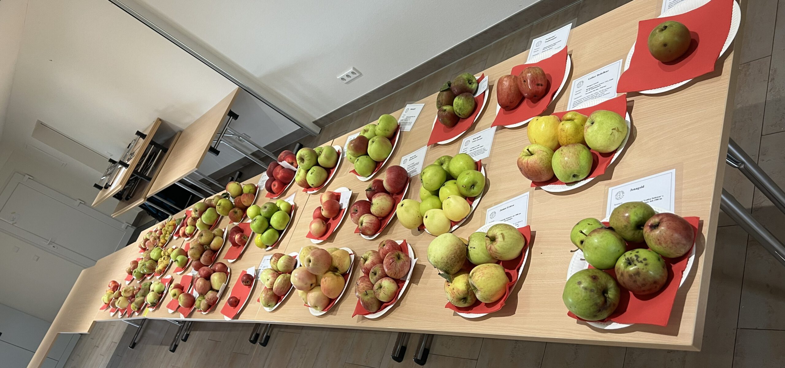 Dieses Bild hat ein leeres Alt-Attribut. Der Dateiname ist 20240915_110232324_iOS-scaled.jpeg