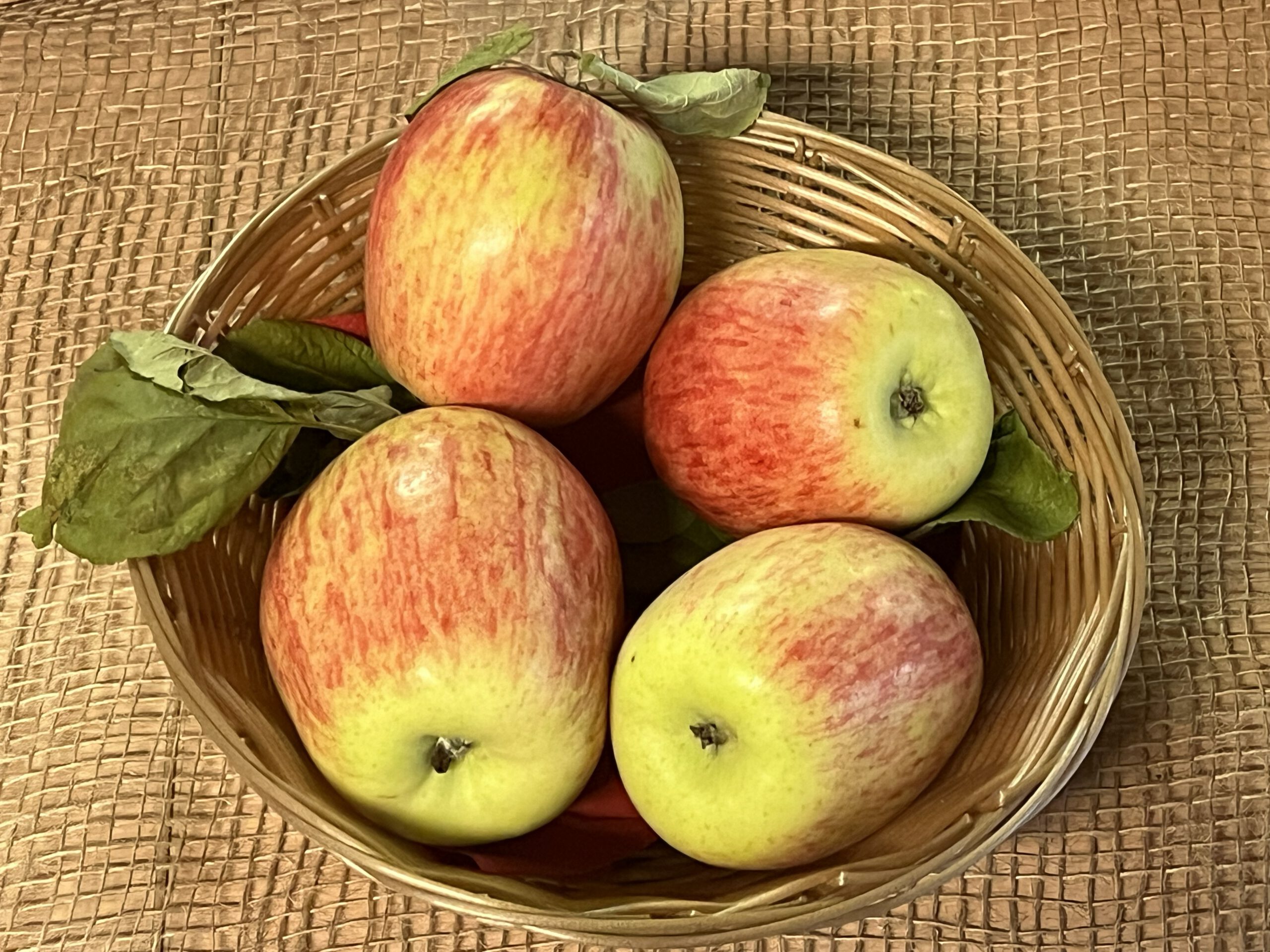 Kleiner Melonenapfel AN – Bild 4