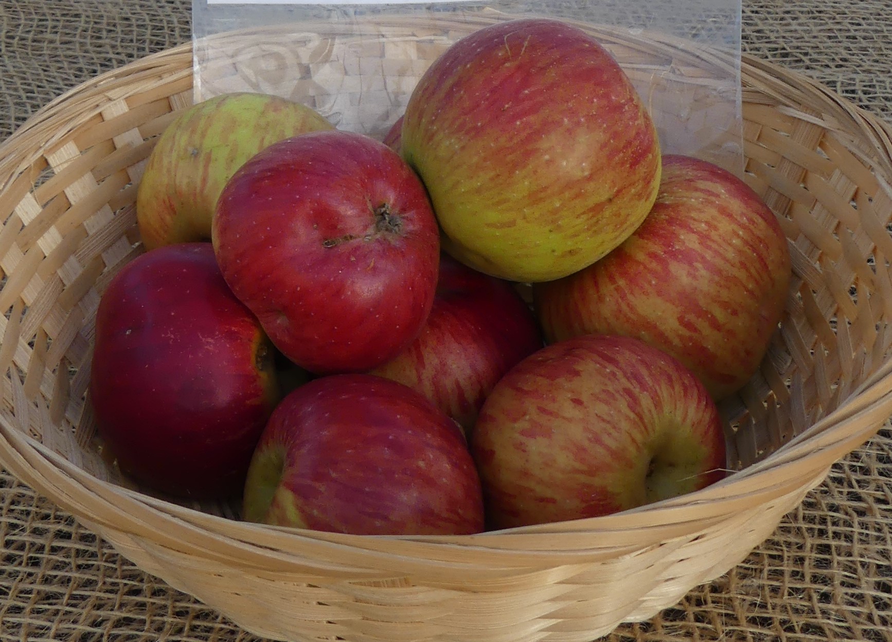 Roter Trierer Weinapfel   