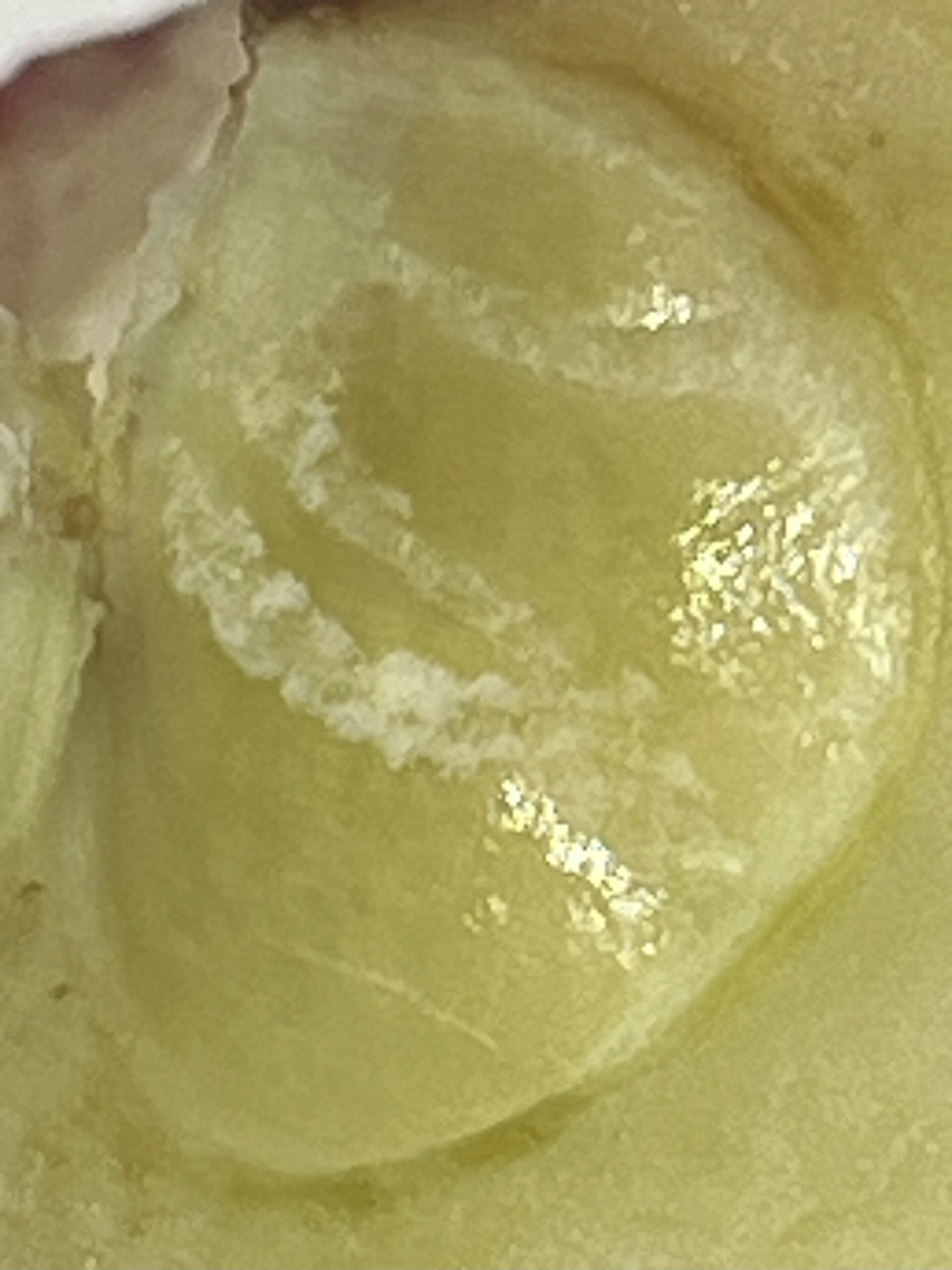 Danziger Kantapfel – Bild 15