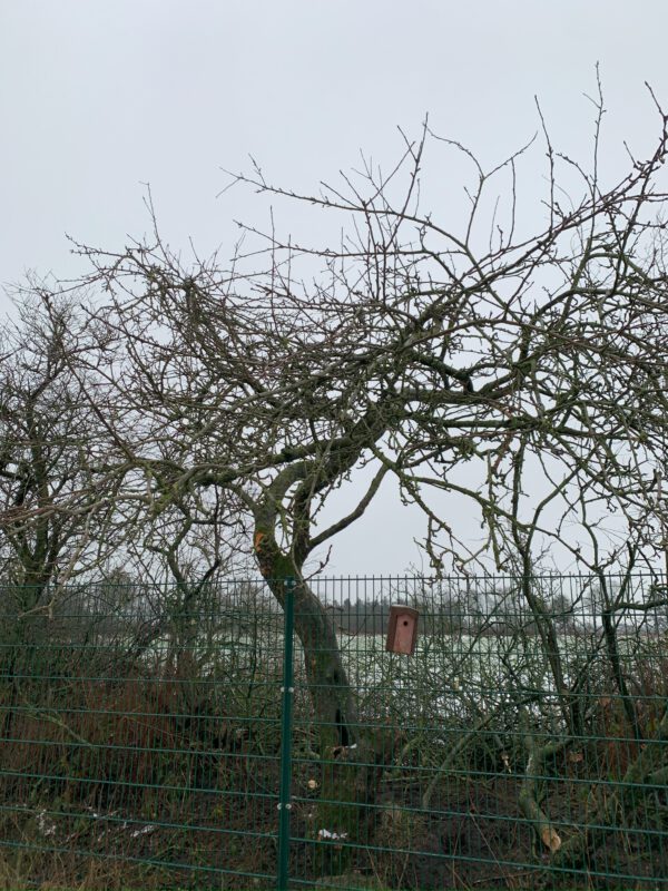 Hoffnungs Alter – Bild 28