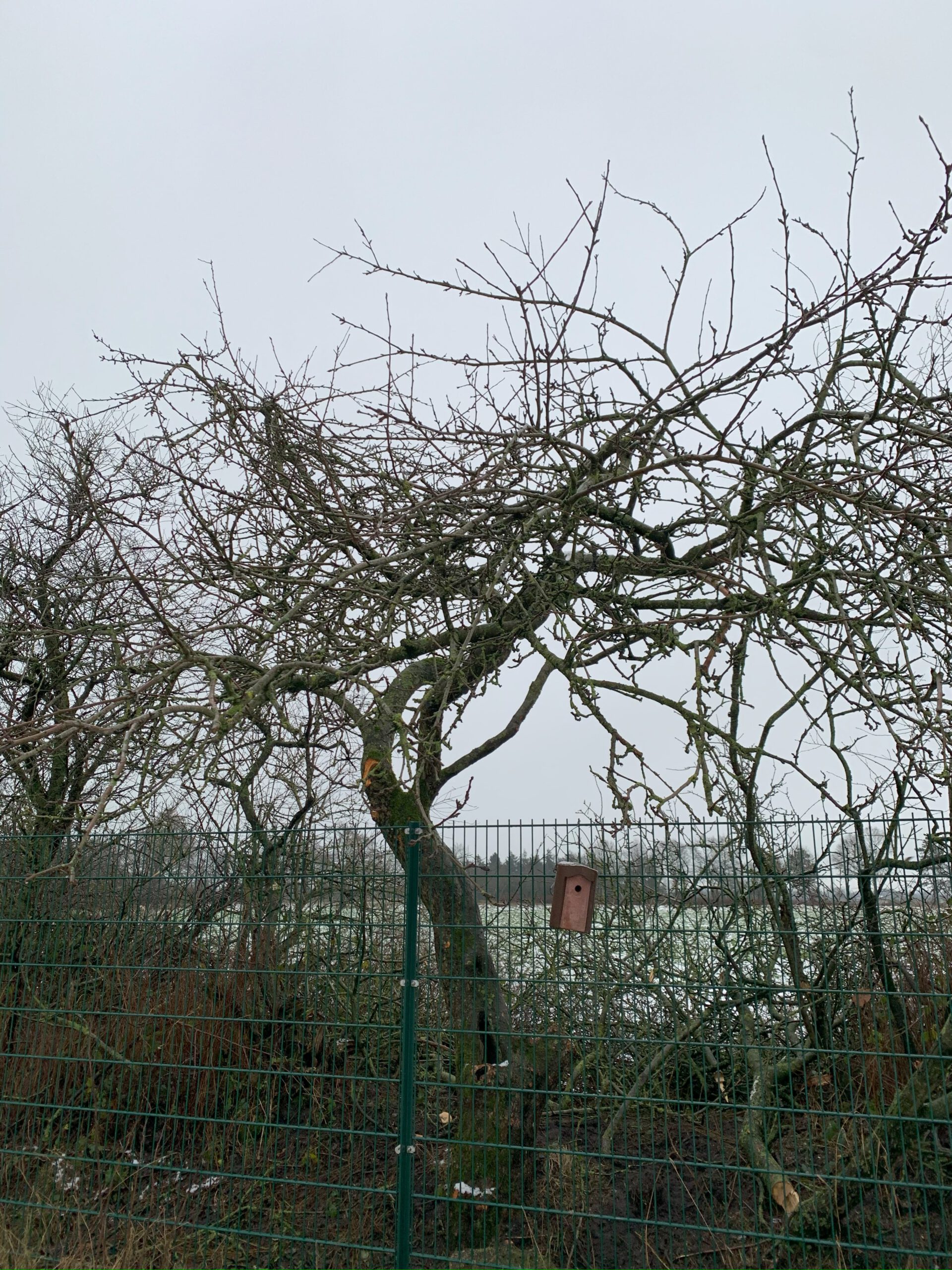 Hoffnungs Alter – Bild 28
