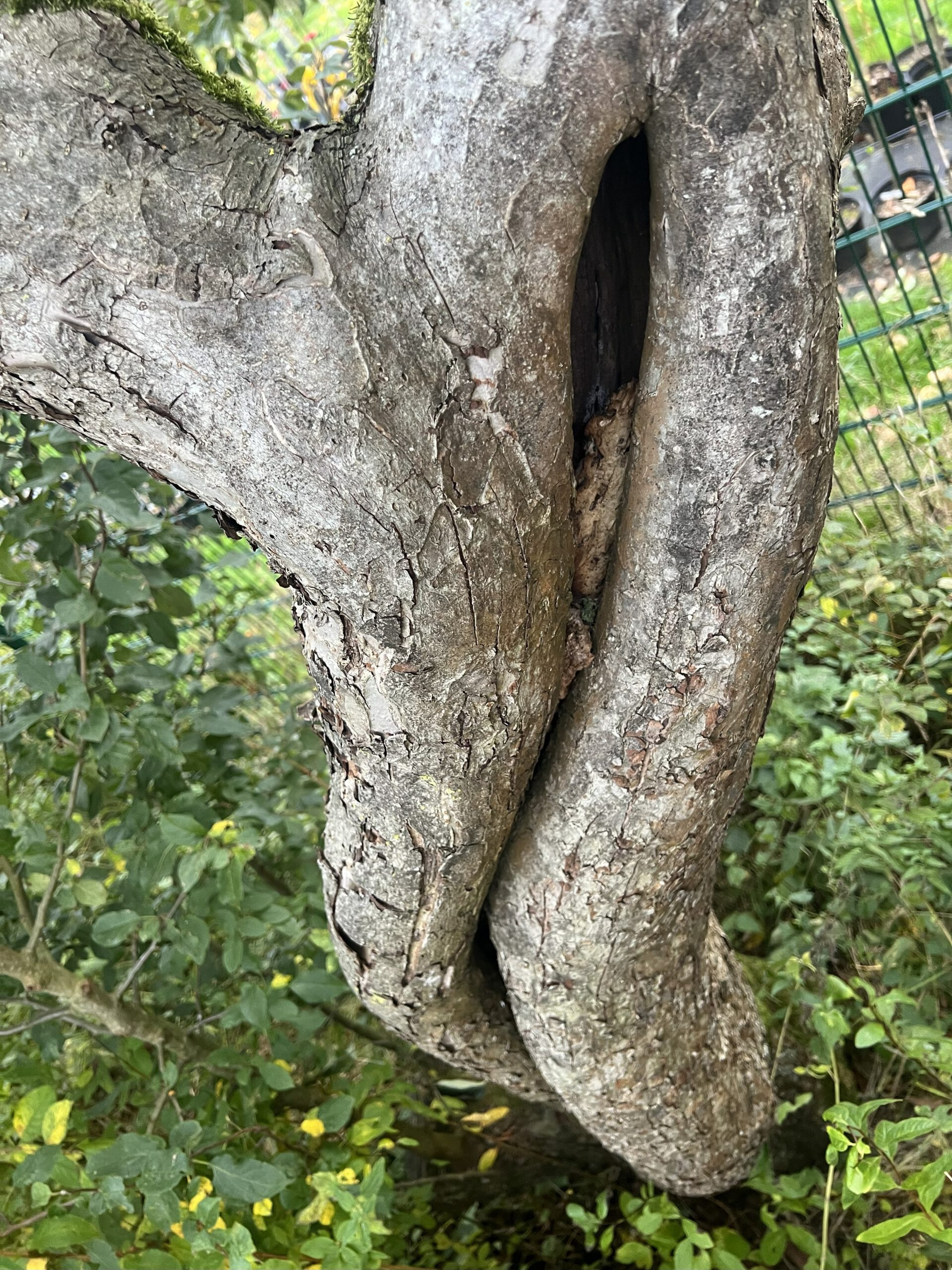 Hoffnungs Alter – Bild 31