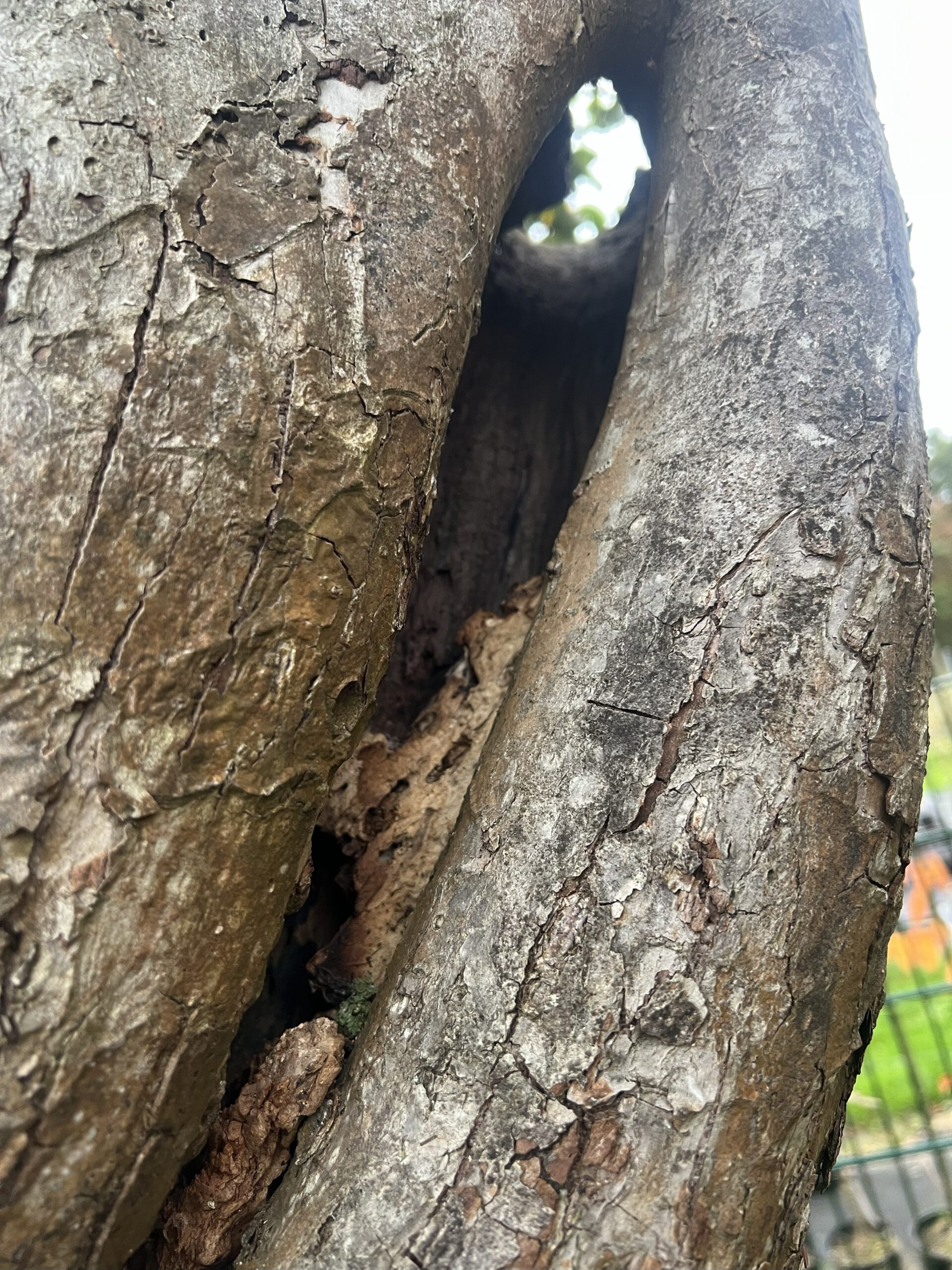Hoffnungs Alter – Bild 32