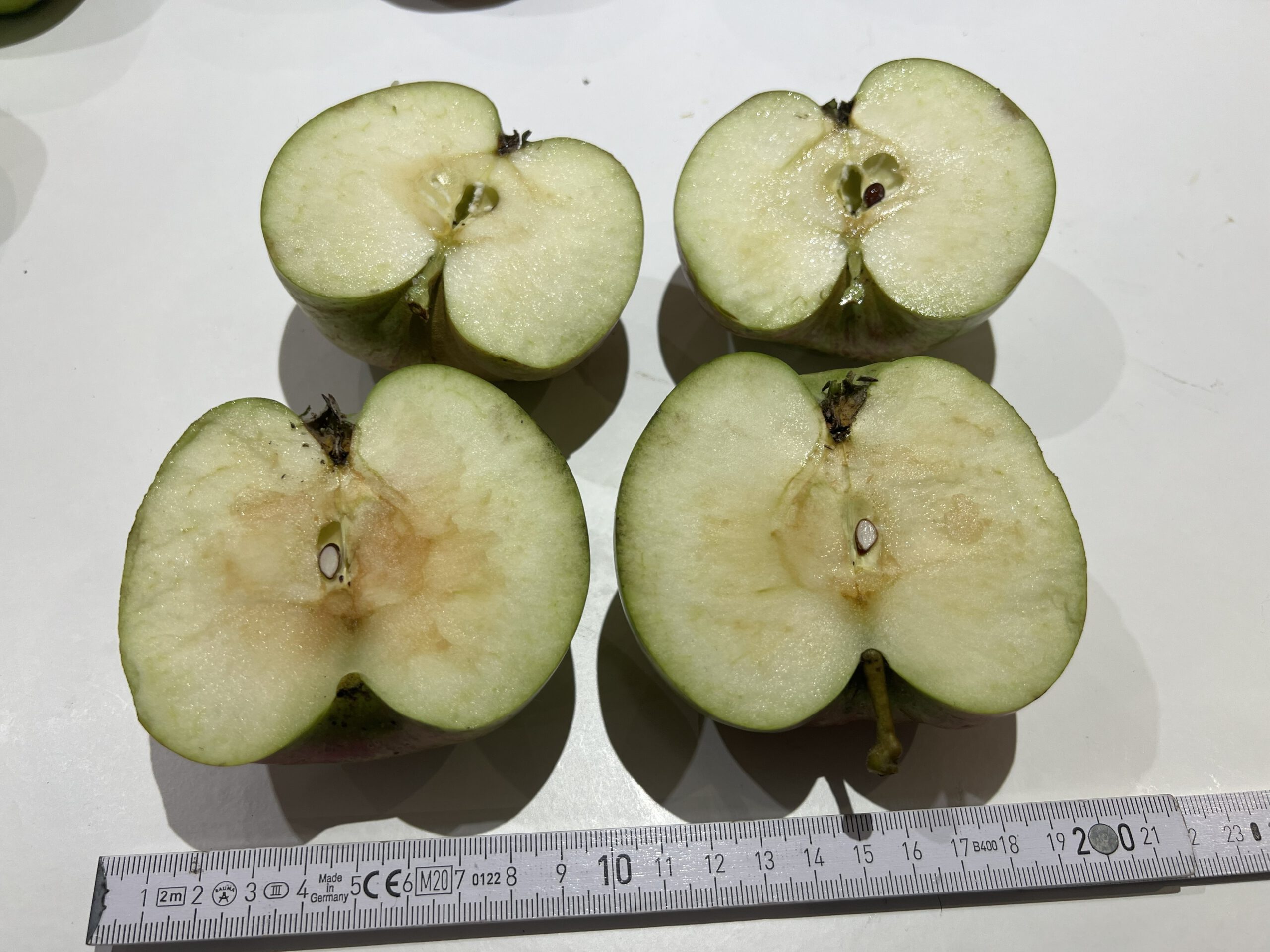 Hoffnungs Alter – Bild 12