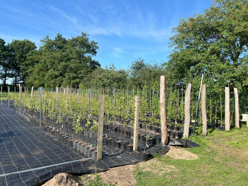 Dieses Bild hat ein leeres Alt-Attribut. Der Dateiname ist 20250719_160005202_iOS-1024x768.jpeg