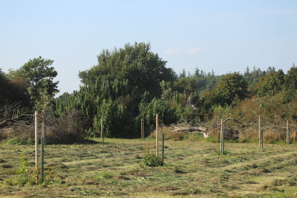 Dieses Bild hat ein leeres Alt-Attribut. Der Dateiname ist IMG_1922-1024x683.jpeg