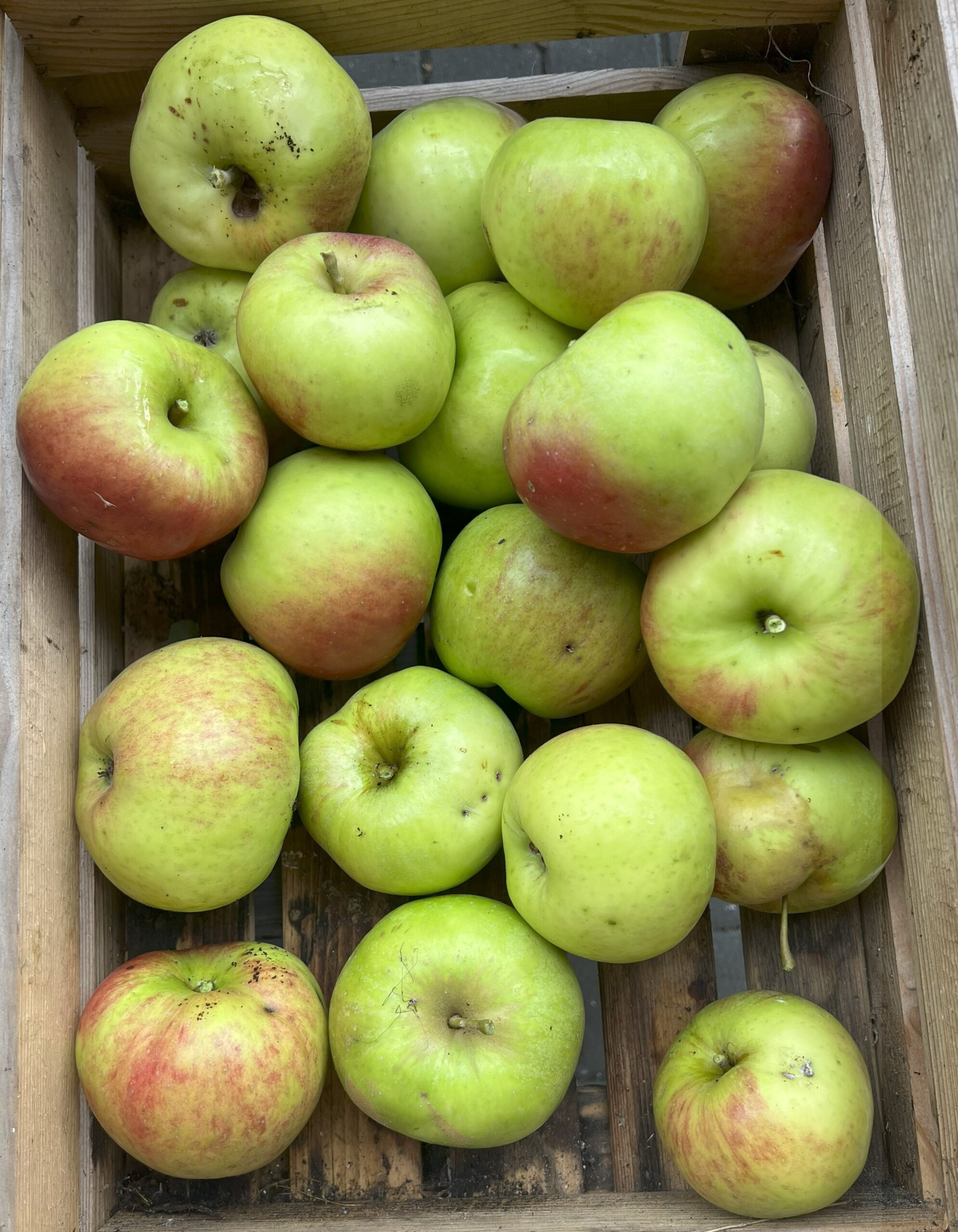 Martens Sämling – Bild 14