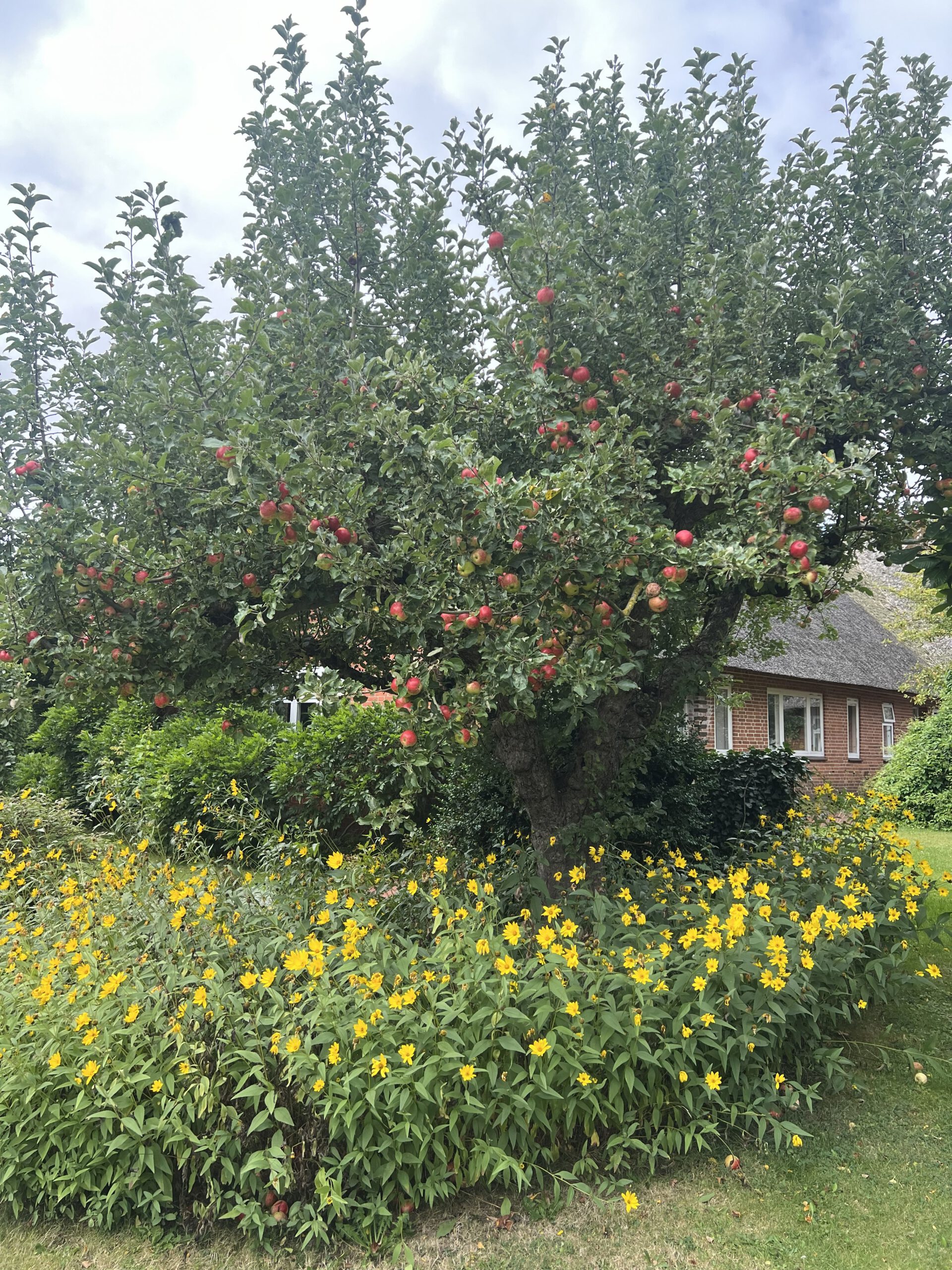 Zigeunerin – Bild 5