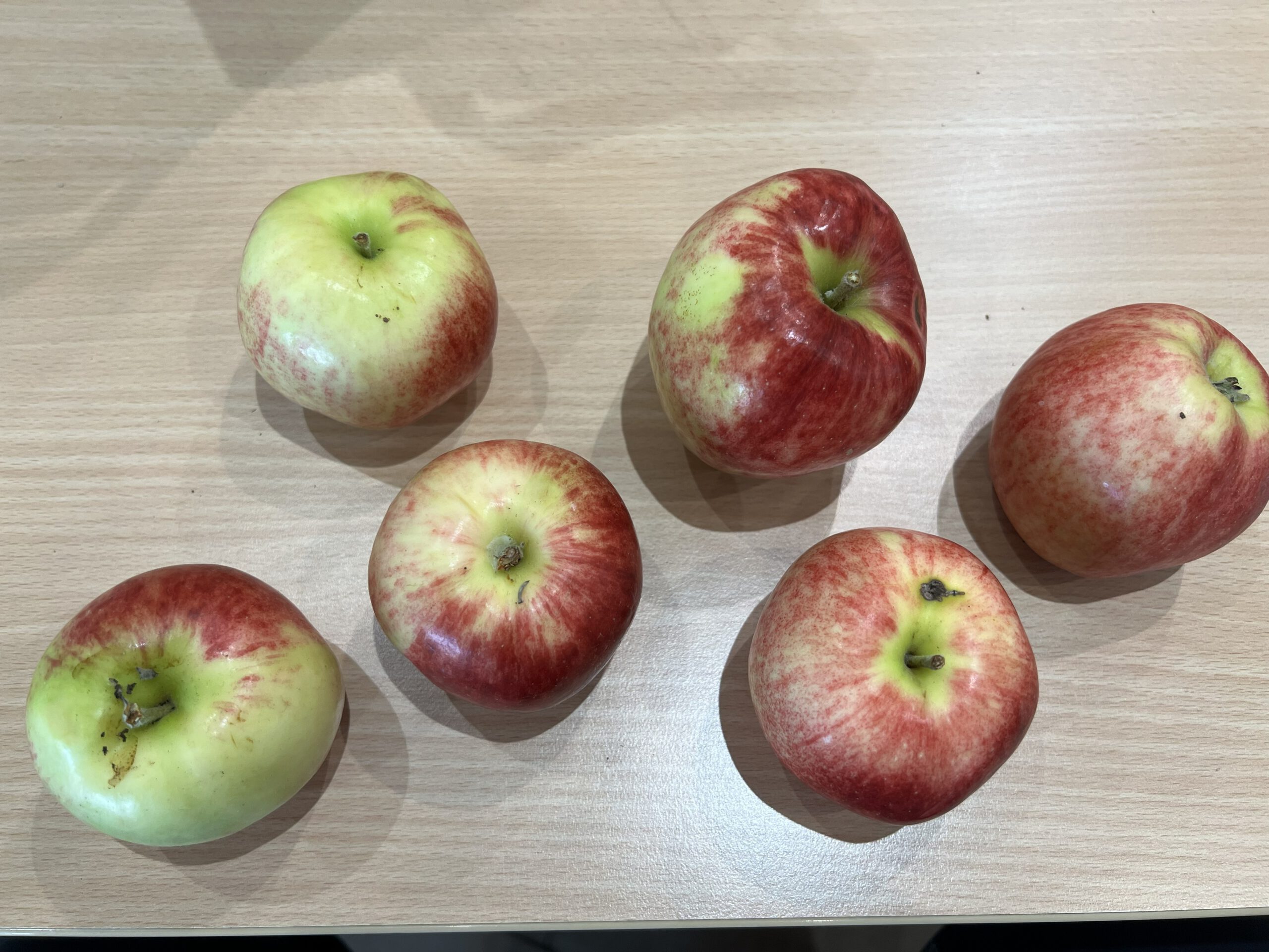 Zigeunerin – Bild 2