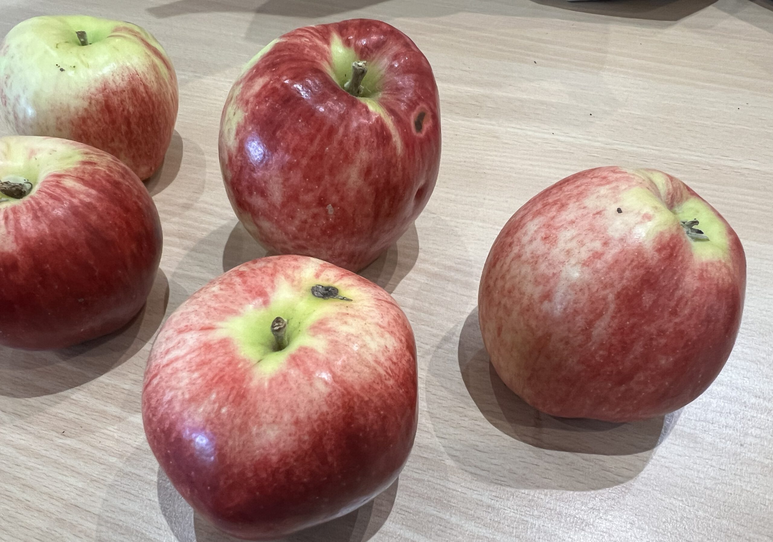 Zigeunerin – Bild 3