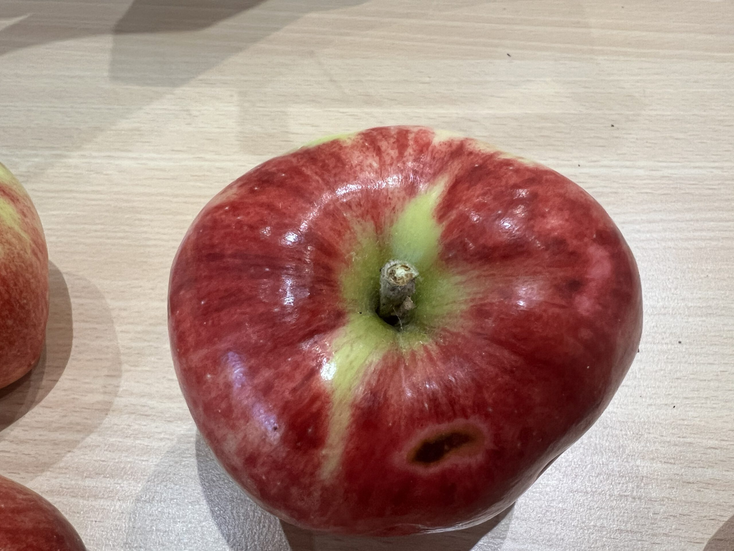 Zigeunerin – Bild 6