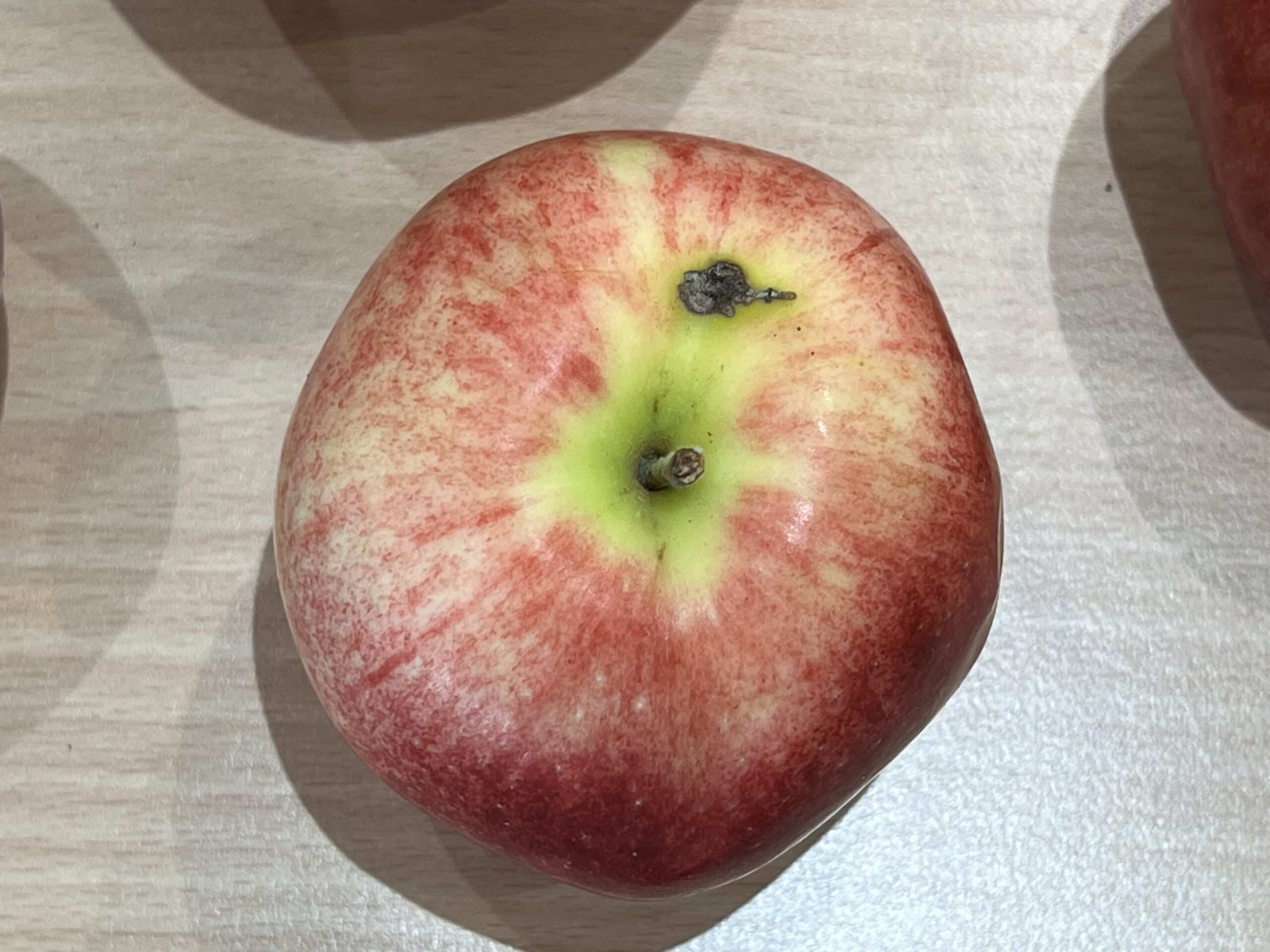 Zigeunerin – Bild 7